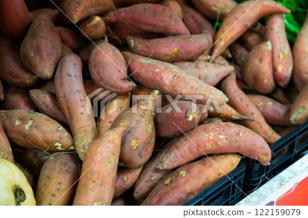 Raw sweet potato tubers 122159079