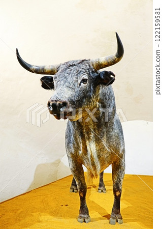 Bullfight in Seville, Spain 122159581