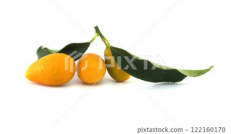 Fresh Kumquats with Green Leaves Isolated on a White Background 122160170
