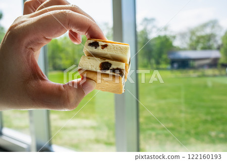 Cookie sandwich. A confectionery made of cream cheese and raisins sandwiched between cookies. 122160193