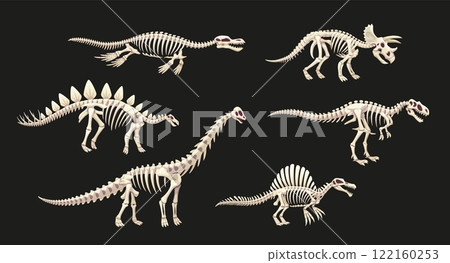 Dinosaur skeleton fossil of Jurassic lizards and prehistoric reptiles, cartoon vector. Prehistoric dinosaur skeletons fossil icons for kids dino atlas or paleontology museum and encyclopedia book 122160253