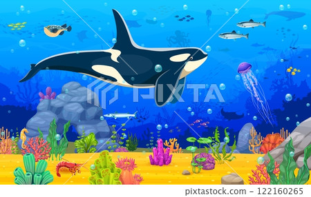 Cartoon underwater landscape game background with killer whale animal character and bottom seaweeds. Vector seafloor location level with sea animals like a orca, fish shoals and jellyfish, swimming 122160265