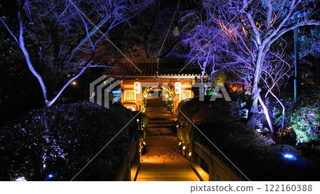 The fantastic world of Japanese gardens at night The fantastic world of Japanese gardens at night 122160388