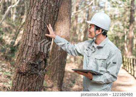 A forestry worker in work clothes checking trees in a park/forest A forestry worker in work clothes checking trees in a park/forest 122160460