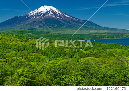 從清新的綠色全景平台看到富士山和山中湖 122160473