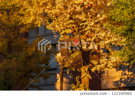 Yokohama in late autumn 122160960