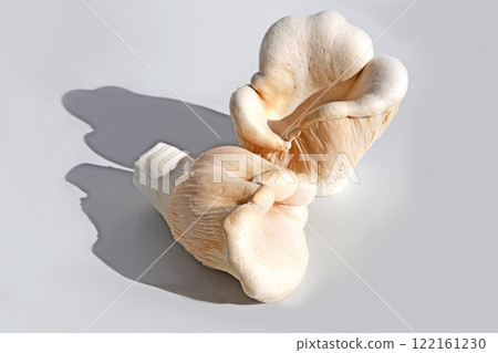 Mushroom (Biling) 122161230
