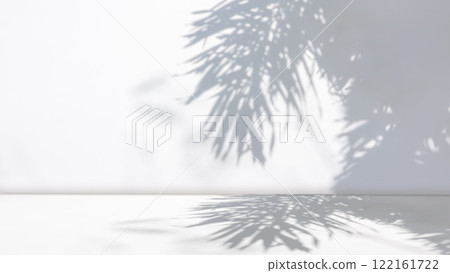Background of nature cement texture with shadow palm leaves, Empty grey cement wall floor and wall room, Luxury backdrop, Wall display product and text present on free space, Spring and summer. Background of nature cement texture with shadow palm leaves, Empty grey cement wall floor and wall room, Luxury backdrop, Wall display product and text present on free space, Spring and summer. 122161722