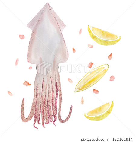 Squid with salt and lemon slices watercolor composition isolated on white. Hand drawn sea food clip art perfect for blog posts, for posters, cards, web page, cook books, kitchen decor and design 122161914