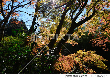鳥之子山神神社 #49 鳥之子山神神社 #49 122162216