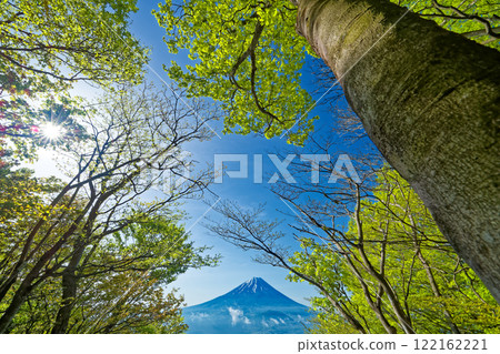 Mount Fuji seen from Mikatabunzan, a mountain with fresh greenery Mount Fuji seen from Mikatabunzan, a mountain with fresh greenery 122162221