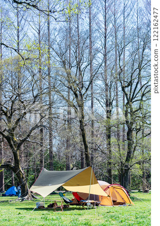 Enjoy a day camp in the park in spring 122162477