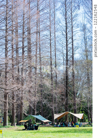 Enjoy a day camp in the park Enjoy a day camp in the park 122162548