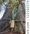 A sacred rock in the sacred tree of Togakushi Shrine 122162579