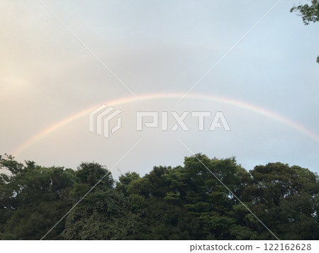 A rainbow over a forest 122162628