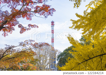 Yellow ginkgo trees, red autumn leaves and a steel tower in Hibiya Park [Autumn image] 122164214
