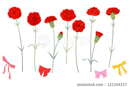 Watercolor style carnation line drawing illustration material set Watercolor style carnation line drawing illustration material set 122164257