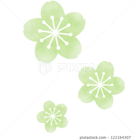 綠色蓬鬆櫻花的插圖 122164307