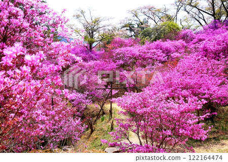 Mitsubatsuji in Tenpaku Park Mitsubatsuji in Tenpaku Park 122164474