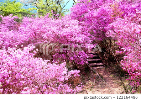 Mitsubatsuji in Tenpaku Park 122164486