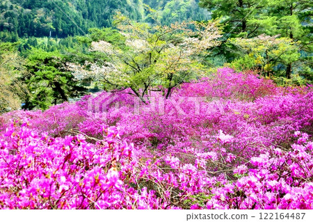 Mitsubatsuji in Tenpaku Park 122164487
