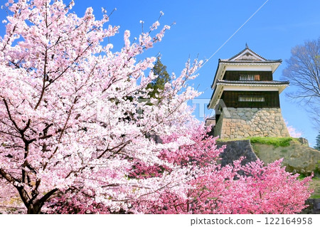 Cherry blossoms at Ueda castle ruins park 122164958