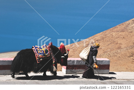Tibetan woman in national clothes with her yak on the mountains  122165331