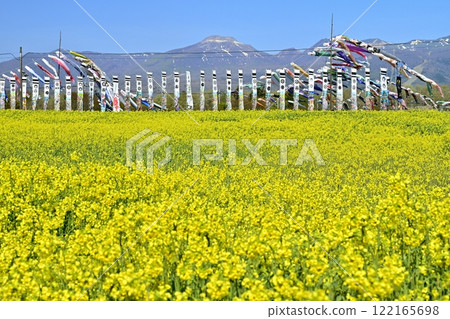 A field of rapeseed flowers, carp streamers, warrior flags and the Nasu mountain range A field of rapeseed flowers, carp streamers, warrior flags and the Nasu mountain range 122165698