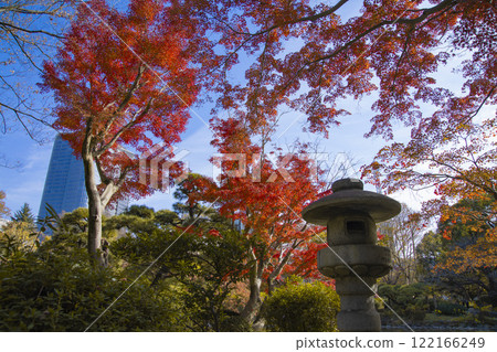 紅秋葉和日比谷公園的燈籠 [秋天圖片] 122166249