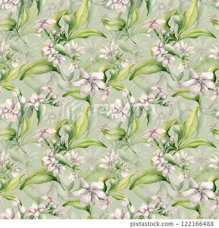 Jasmine on branch watercolor seamless pattern isolated. White flower camellia botanical repeated texture hand drawn. Flowers of jasmine and leaves painted for design wrapping paper, package, textile. Jasmine on branch watercolor seamless pattern isolated. White flower camellia botanical repeated texture hand drawn. Flowers of jasmine and leaves painted for design wrapping paper, package, textile. 122166488
