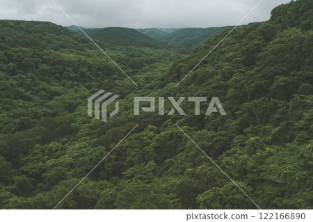 A mountain covered with fresh green 122166890