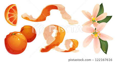 Orange fruit elements set Orange fruit elements set 122167616