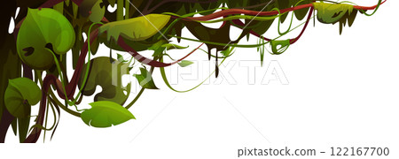 Liana vine border isolated on white 122167700