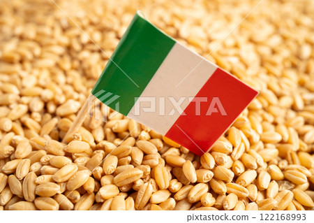 Grains wheat with Italy flag, trade export and economy. Grains wheat with Italy flag, trade export and economy. 122168993