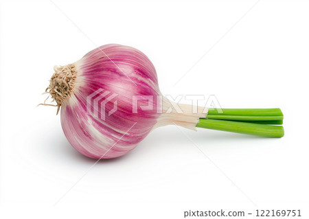 Fresh purple garlic bulb isolated on a white background emphasizing natural detail. Perfect for culinary, health, and natural food-related themes. 122169751