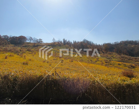 Minamioguni-cho, Aso-gun, Kumamoto Prefecture. 122170031