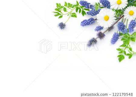 白色背景與小花 122170548
