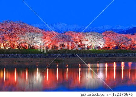 [Toyama Prefecture] Symmetry of cherry blossoms in full bloom at night along the Asahifune River and the Northern Alps 122170676