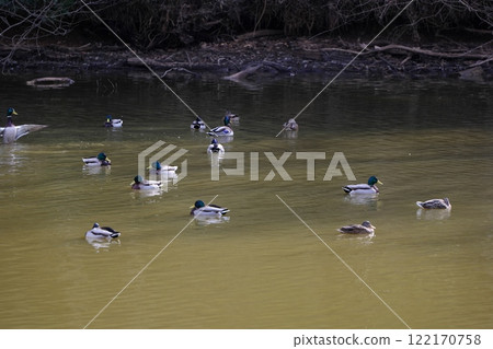 坂田池綜合公園 122170758