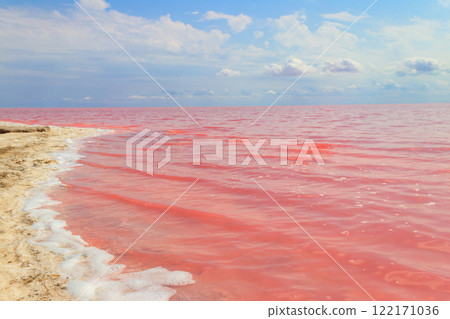View of the pink salty Syvash lake in Kherson region, Ukraine View of the pink salty Syvash lake in Kherson region, Ukraine 122171036