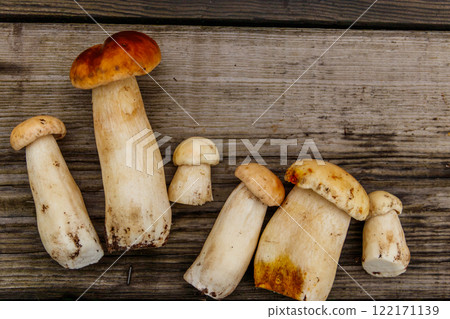 Freshly picked porcini mushrooms on rustic wooden table. Top view 122171139