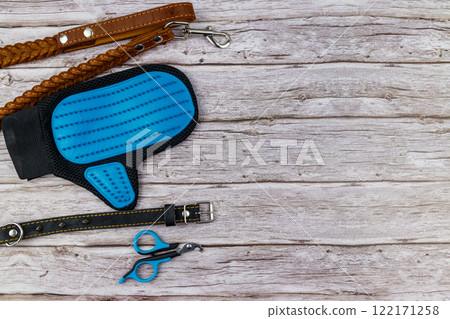 Dog accessories on wood background. Blue rubber grooming glove, claw clipper, brown leather leash and spiked collar for dog on wooden background. Top view, copy space. Pet care concept 122171258