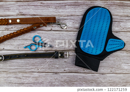 Dog accessories on wood background. Blue rubber grooming glove, claw clipper, brown leather leash and spiked collar for dog on wooden background. Top view. Pet care concept Dog accessories on wood background. Blue rubber grooming glove, claw clipper, brown leather leash and spiked collar for dog on wooden background. Top view. Pet care concept 122171259