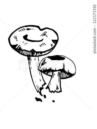 mushroom vector skatch on white background mushroom vector skatch on white background 122171592