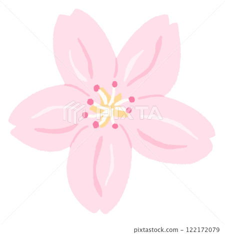 Simple and cute cherry blossoms Simple and cute cherry blossoms 122172079