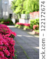 Sidewalk and azalea 122172674