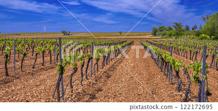 Valdepenas Vineyards, Spain 122172695