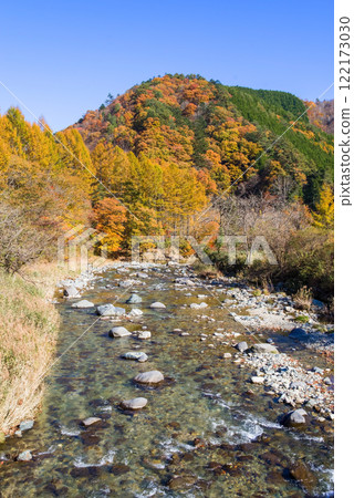 Autumn leaves along the Seseragi Highway (Naradani Bridge, Maze River) (Kiyomi Town, Takayama City, Gifu Prefecture) Autumn leaves along the Seseragi Highway (Naradani Bridge, Maze River) (Kiyomi Town, Takayama City, Gifu Prefecture) 122173030