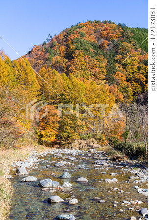 Autumn leaves along the Seseragi Highway (Naradani Bridge, Maze River) (Kiyomi Town, Takayama City, Gifu Prefecture) Autumn leaves along the Seseragi Highway (Naradani Bridge, Maze River) (Kiyomi Town, Takayama City, Gifu Prefecture) 122173031