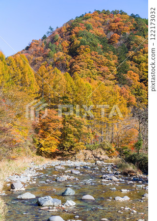 Autumn leaves along the Seseragi Highway (Naradani Bridge, Maze River) (Kiyomi Town, Takayama City, Gifu Prefecture) Autumn leaves along the Seseragi Highway (Naradani Bridge, Maze River) (Kiyomi Town, Takayama City, Gifu Prefecture) 122173032
